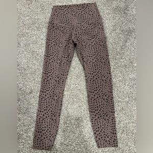 Tavi leggings! Never been worn!